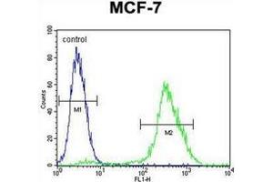 Fow cytometric analysis of MCF-7 cells using PMPCA Antibody (C-term) Cat. (PMPCA 抗体  (C-Term))