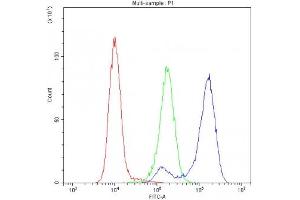 Flow cytometry testing of human K562 cells with Cytochrome C antibody at 1ug/10^6 cells (blocked with goat sera) (Cytochrome C 抗体  (AA 2-105))