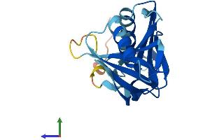 Protein Structure (PS) image for Heme Binding Protein 1 (HEBP1) (AA 1-190) protein (His tag) (ABIN7556232)