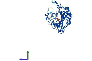 Protein Structure (PS) image for Carbonic Anhydrase VIII (CA8) (AA 1-290) protein (His tag) (ABIN7552796)