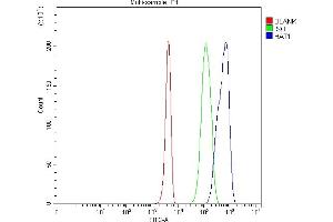 Flow Cytometry analysis of 293T cells using anti-KAT1/HAT1 antibody (ABIN7603224).
