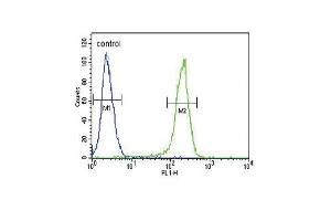 CCR7 Antibody (N-term) (ABIN651190 and ABIN2840119) flow cytometric analysis of 293 cells (right histogram) compared to a negative control cell (left histogram). (CCR7 抗体  (N-Term))