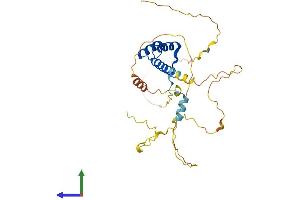 AlphaFold protein structure predicition of Mouse Recombinant Pitx3 Protein, UniprotID O35160