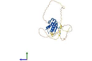 Protein Structure (PS) image for Protein Tob1 (TOB1) (AA 1-362) protein (His tag) (ABIN7557709)