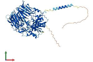Protein Structure (PS) image for Dipeptidyl-Peptidase 6 (DPP6) (AA 1-804) protein (His tag) (ABIN7565288)