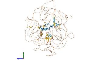 Protein Structure (PS) image for Methyl-CpG Binding Domain Protein 5 (MBD5) (AA 1-1494) protein (His tag) (ABIN7554504)
