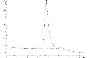 Size-exclusion chromatography-High Pressure Liquid Chromatography (SEC-HPLC) image for Tumor Necrosis Factor Receptor Superfamily, Member 17 (TNFRSF17) (AA 1-54), (Trimer) protein (His-Avi Tag,Biotin) (ABIN7273942)