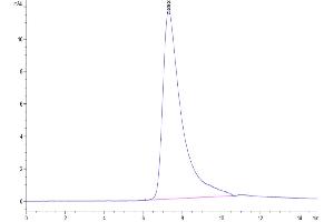 Size-exclusion chromatography-High Pressure Liquid Chromatography (SEC-HPLC) image for GDNF Family Receptor alpha Like (GFRAL) (AA 19-351) protein (His-Avi Tag) (ABIN7274737)