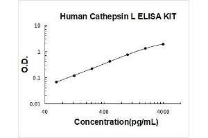 Human Cathepsin L PicoKine ELISA Kit standard curve