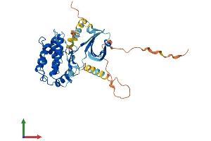 Protein Structure (PS) image for Calcium/calmodulin-Dependent Protein Kinase I (CAMK1) (AA 1-374) protein (His tag) (ABIN7564825)