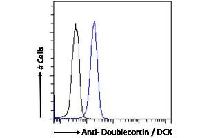 ABIN6391364 Flow cytometric analysis of paraformaldehyde fixed Kelly cells (blue line), permeabilized with 0. (Doublecortin 抗体  (AA 69-81))