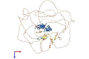 Protein Structure (PS) image for Ataxin 1 (ATXN1) (AA 1-791) protein (His tag) (ABIN7556164)