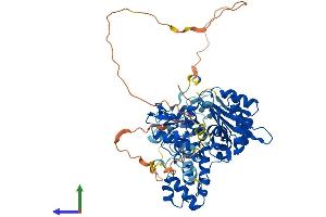 Protein Structure (PS) image for Polymerase (DNA Directed), lambda (POLL) (AA 1-575) protein (His tag) (ABIN7547125)