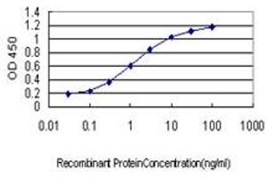 Detection limit for recombinant GST tagged KLF1 is approximately 0. (KLF1 抗体  (AA 183-237))