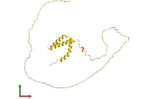 AlphaFold protein structure predicition of Human Recombinant TMEM40 Protein, UniprotID Q8WWA1
