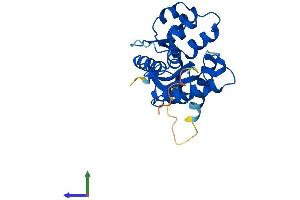 Protein Structure (PS) image for Nicotinamide Nucleotide Adenylyltransferase 3 (NMNAT3) (AA 1-245) protein (His tag) (ABIN7560317)