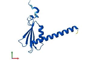 Protein Structure (PS) image for Polymerase (RNA) II (DNA Directed) Polypeptide J, 13.3kDa (POLR2J) (AA 1-117) protein (His tag) (ABIN7551522)