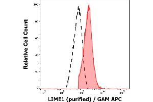 Separation of human CD3 positive LIME1 positive lymphocytes (red-filled) from neutrophil granulocytes (black-dashed) in flow cytometry analysis (intracellular staining) of peripheral whole blood stained using anti-LIME1 (LIME-06) purified antibody (concentration in sample 9 μg/mL, GAM APC).