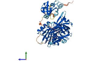 Protein Structure (PS) image for Cytochrome B5 Reductase 4 (CYB5R4) (AA 1-521) protein (His tag) (ABIN7549688)