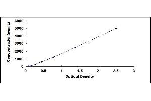 Typical standard curve (TJAP1 ELISA 试剂盒)