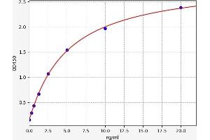 Typical standard curve (CENPA ELISA 试剂盒)
