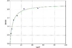 A typical standard curve