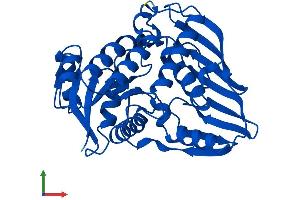 AlphaFold protein structure predicition of Human Recombinant DHDH Protein, UniprotID Q9UQ10