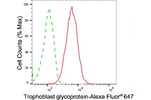 Flow cytometric analysis of Trophoblast glycoprotein expression in HAP-1 cells using Trophoblast glycoprotein antibody (ABIN7800648), 1:2,000).