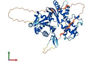 AlphaFold protein structure predicition of Human Recombinant ACTL7A Protein, UniprotID Q9Y615