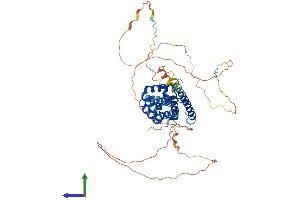 Protein Structure (PS) image for BCL2-Like 13 (Apoptosis Facilitator) (BCL2L13) (AA 1-485) protein (His tag) (ABIN7552521)
