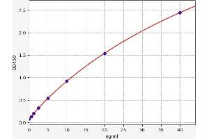 Carboxypeptidase E (CPE) ELISA Kit