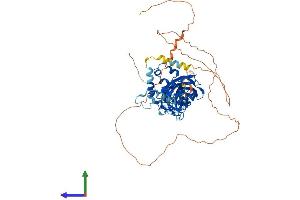 AlphaFold protein structure predicition of Mouse Recombinant Ebf1 Protein, UniprotID Q07802