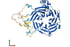 Protein Structure (PS) image for Glutamate-Rich WD Repeat Containing 1 (GRWD1) (AA 1-446) protein (His tag) (ABIN7558468)
