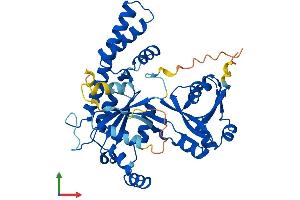 Protein Structure (PS) image for Obg-Like ATPase 1 (OLA1) (AA 1-396) protein (His tag) (ABIN7560771)