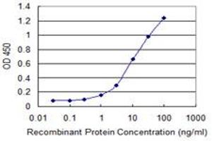 Detection limit for recombinant GST tagged CEL is 0. (Cholesterol Esterase 抗体  (AA 378-477))