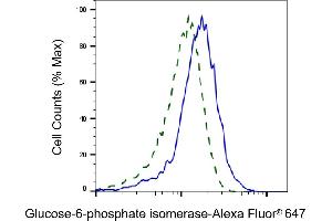 Validation of Glucose-6-phosphate isomerase knockdown using flow cytometry. (Recombinant GPI 抗体)