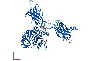 Protein Structure (PS) image for Copine III (CPNE3) (AA 1-533) protein (His tag) (ABIN7558869)