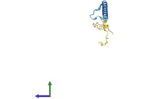 Protein Structure (PS) image for Chromosome 19 Open Reading Frame 53 (C19ORF53) (AA 1-94) protein (His tag) (ABIN7559665)