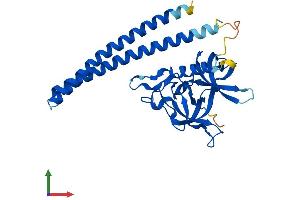 AlphaFold protein structure predicition of Human Recombinant SGF29 Protein, UniprotID Q96ES7