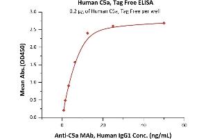 Immobilized Human C5a, Tag Free (ABIN2180666,ABIN2180665) at 2 μg/mL (100 μL/well) can bind Anti-C5a MAb, Human IgG1 with a linear range of 0. (C5A Protein (AA 679-751))