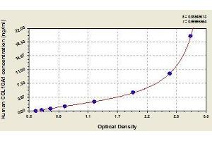 COL10A1 ELISA 试剂盒