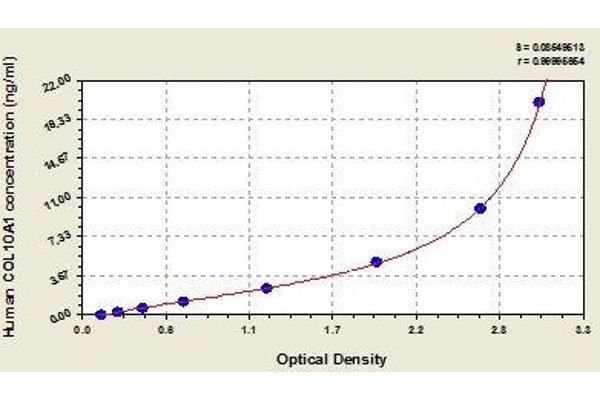 COL10A1 ELISA 试剂盒