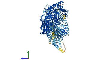 AlphaFold protein structure predicition of Human Recombinant MTR Protein, UniprotID Q99707