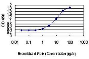 Detection limit for recombinant GST tagged DLX2 is approximately 1ng/ml as a capture antibody. (DLX2 抗体  (AA 1-110))