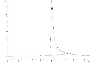 Size-exclusion chromatography-High Pressure Liquid Chromatography (SEC-HPLC) image for Interleukin 10 (IL10) (AA 19-178) protein (His-Avi Tag,Biotin) (ABIN7274897)
