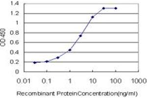 Detection limit for recombinant GST tagged EPHB3 is approximately 0. (EPH Receptor B3 抗体  (AA 899-997))