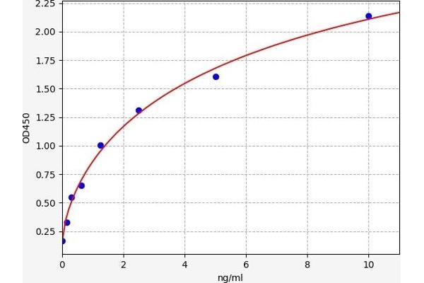 CYP26A1 ELISA 试剂盒