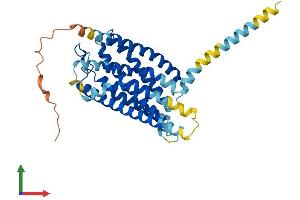 AlphaFold protein structure predicition of Mouse Recombinant Gpr87 Protein, UniprotID Q99MT7