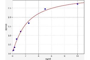 Typical standard curve (BAP1 ELISA 试剂盒)