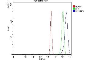 Flow Cytometry analysis of A431 cells using anti-SERINC2 antibody (ABIN7602193). (SERINC2 抗体  (AA 62-378))